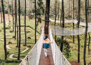 Orchid Forest Cikole Kembali Buka dengan Prokes Ketat