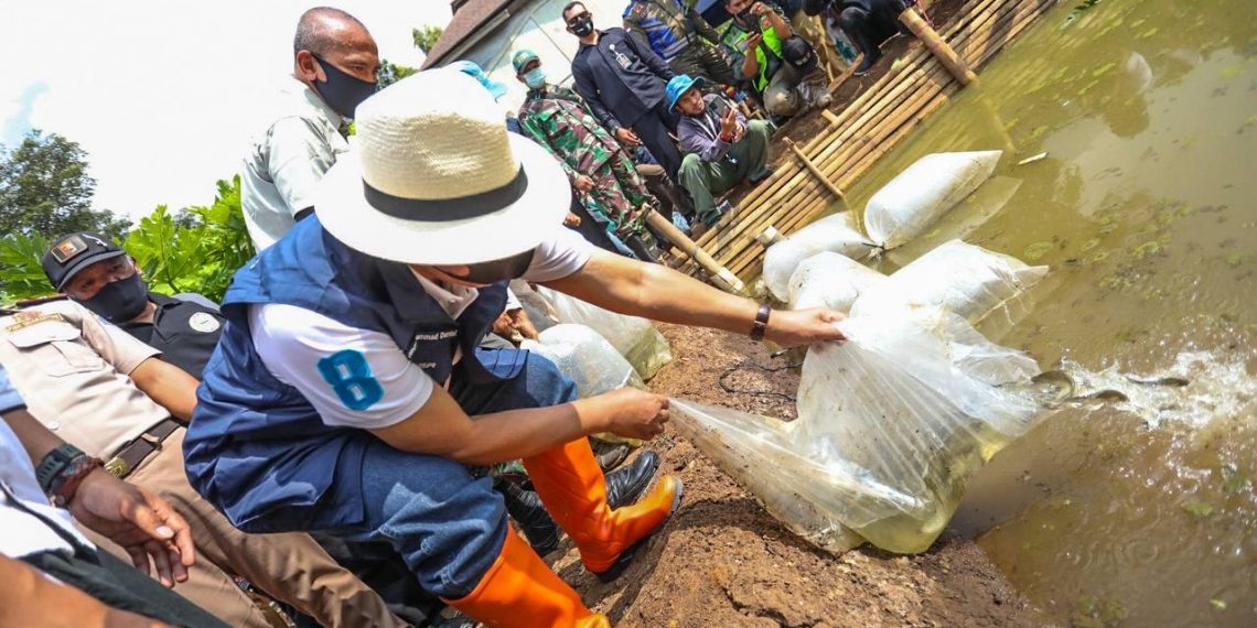 Hari Lingkungan Hidup Sedunia: Oded Tebar Ribuan Ikan dan Tanam Pohon