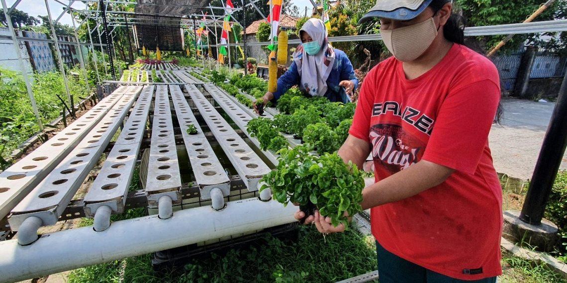 Wisata Hijau Di Kampung Wisata Edukasi Sahabat Sampah Perwira Bekasi