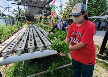 Wisata Hijau Di Kampung Wisata Edukasi Sahabat Sampah Perwira Bekasi