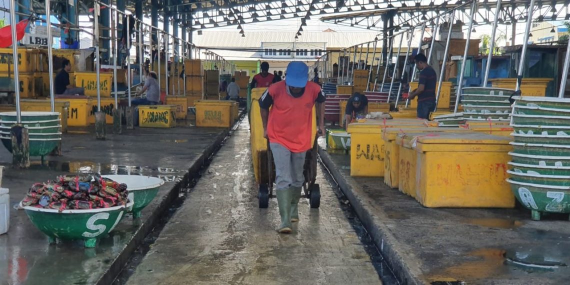 Kondisi Pasar Ikan Muara Angke Di Tengah Pandemi Covid-19