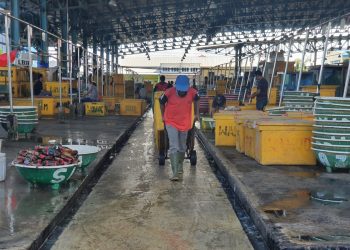Kondisi Pasar Ikan Muara Angke Di Tengah Pandemi Covid-19