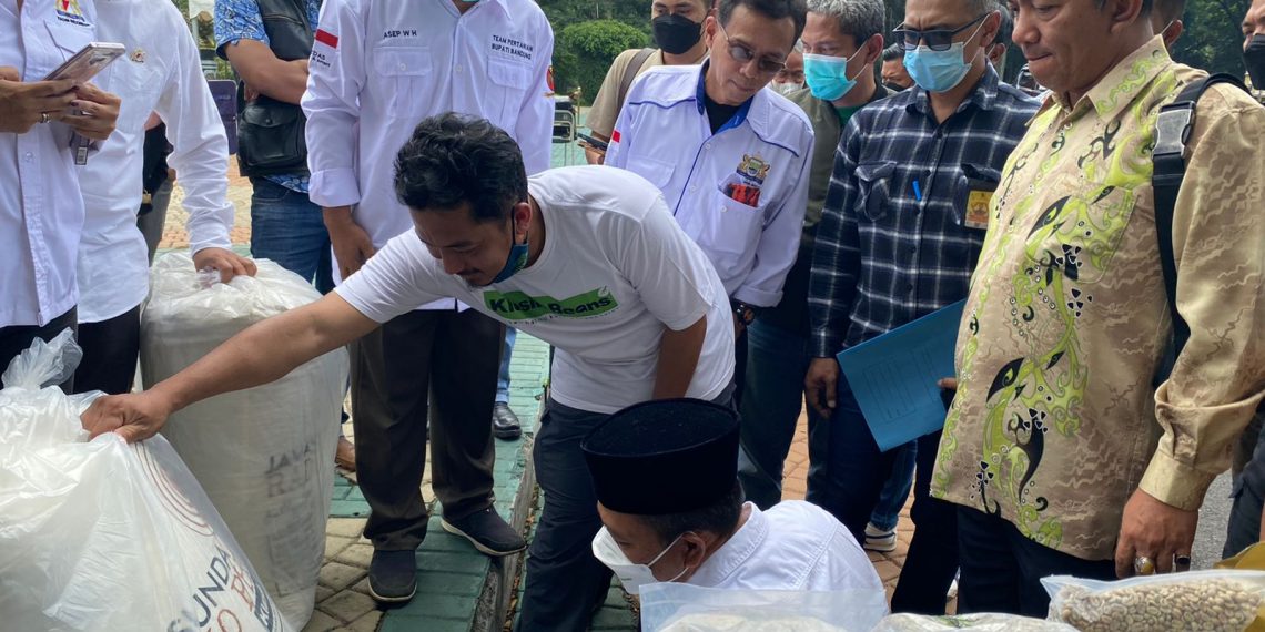 Hasil Jaga Hutan, Koperasi Klasik Beans Mampu Ekspor Kopi ke Perancis