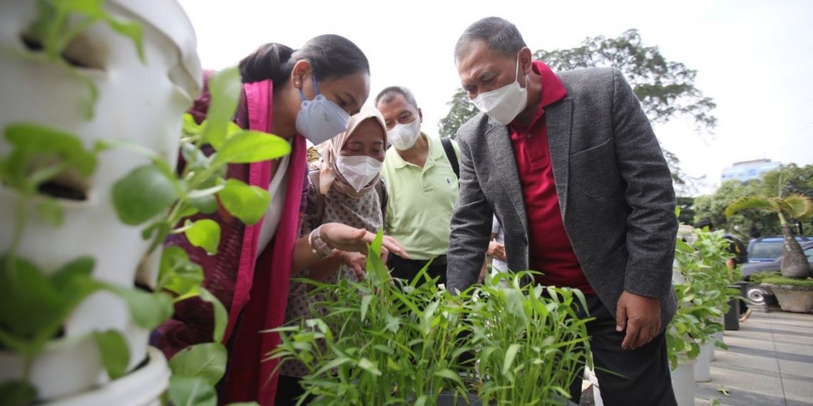 Buruan Sae Jadi Rujukan Organisasi Ketahanan Pangan Internasional