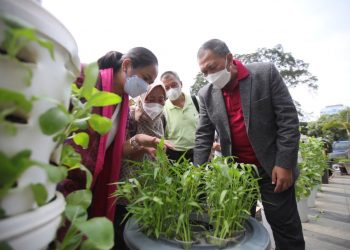Buruan Sae Jadi Rujukan Organisasi Ketahanan Pangan Internasional