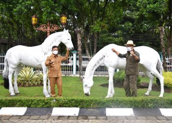 Pemkab Bandung Rencana Bangun Alun-alun Kabupaten