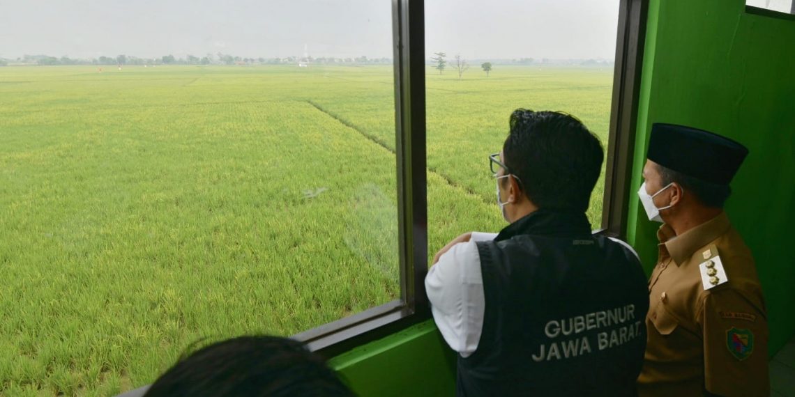Gubernur Jawa Barat, Ridwan Kamil ketika meninjau lahan untuk pembangunan danau retensi