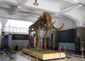 Lampu Hijau, Siswa di Jabar Kini Boleh Lakukan Study Tour