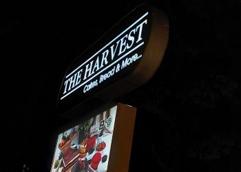 Injak Usia 18 Tahun, The Harvest Terus Tumbuh dan Berkembang