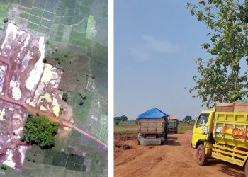 Rehabilitasi Lahan Tambang Tanah Urug di Cikedung, Indramayu