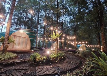 Intip Hejo Forest, Pilihan Liburan Diakhir Tahun