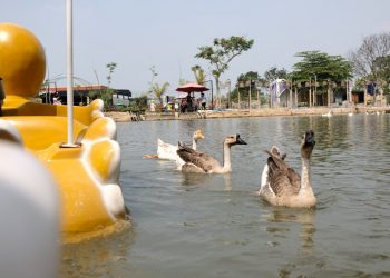 Liburan Murah di Bandung? Yuk Intip Tempat Ini